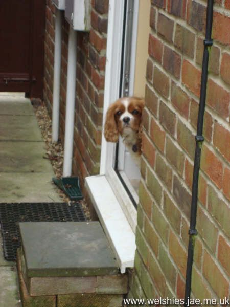 2009-04-17 42L.JPG